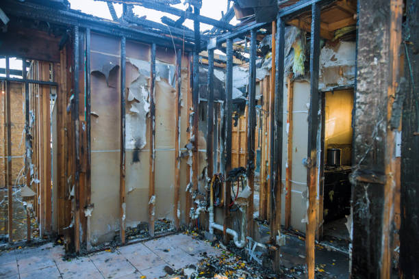 Professional Fire Damage Removal technician working in Chatham, IL